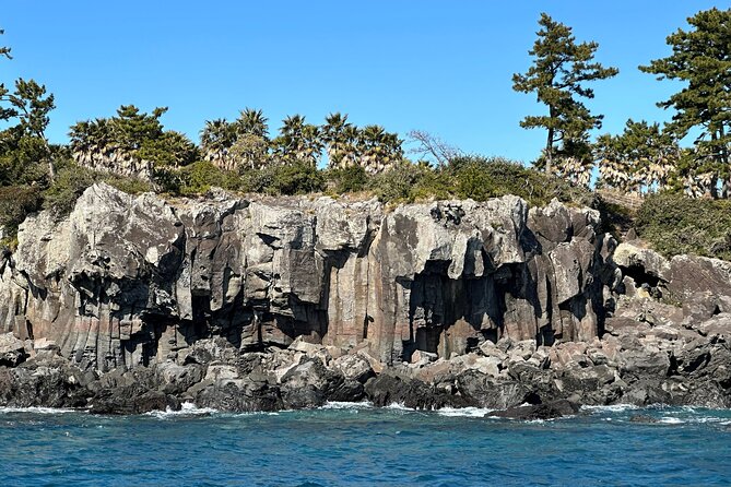 Private Tour in South Jeju including Yacht Cruise - Stop 1: 1100 Altitude Wetland at Hallasan level