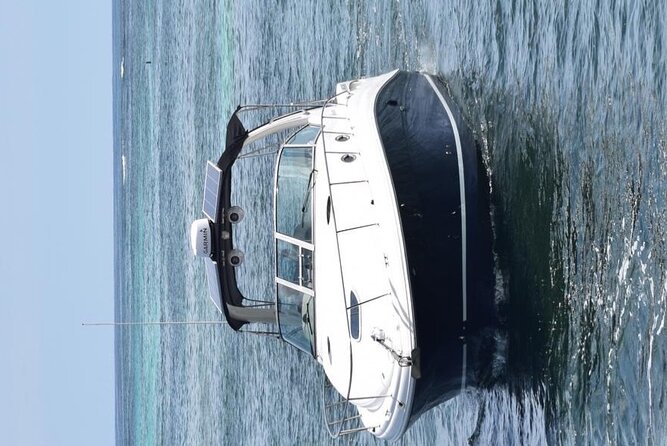 Private VIP Yacht in Punta Cana - Stop 3: Playa Bibijagua Dolphin Watching (25 Minutes)