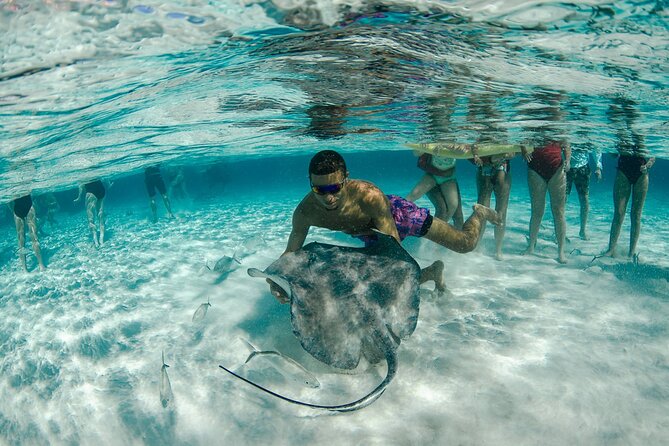 Private Yacht 48 ft Sting Ray City, Snorkel & Starfish Beach - Mangroves and Rum Point mudslide: the fun in-between