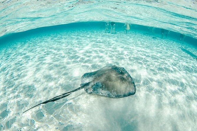 Private Yacht 48 ft Sting Ray City, Snorkel & Starfish Beach - Price and value: what $2,150 really buys you