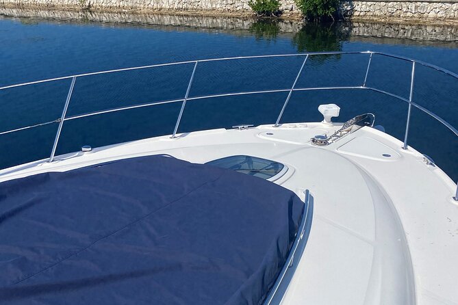 Private Yacht 48 ft Sting Ray City, Snorkel & Starfish Beach - Snorkeling coral at about 8–10 feet, plus fish you can actually see