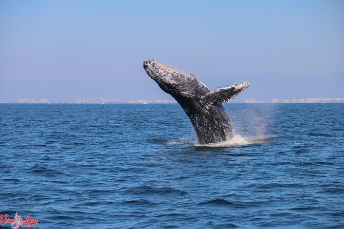 Private Yacht Charter on ChicaFun 1 Waterslides all inclusive - Los Arcos National Park: Snorkeling Among Rock Arches