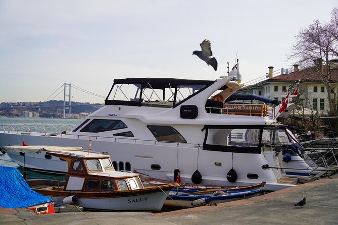 Private Yacht Cruise on Bosphorus - The Bosphorus route: what you see from the water (and why it’s special)