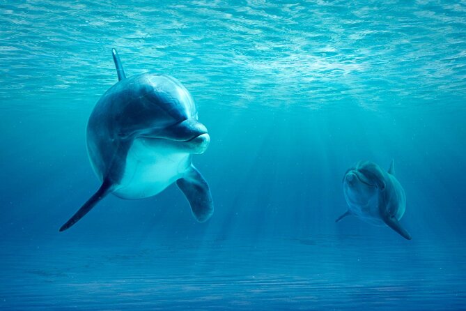 Private Yacht Cruise to Dolphin House with Lunch : Hurghada - The Real Schedule: Why Your Day Can Stretch Past the Water Time