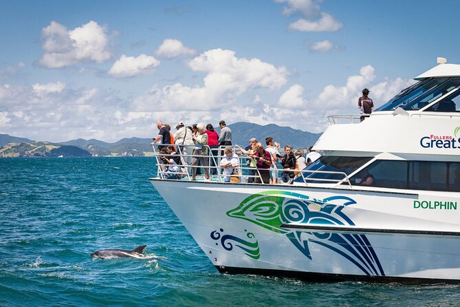 Private Yacht Cruise to Dolphin House with Lunch : Hurghada - Two Water Sessions With a Guide: Snorkeling Stops That Feel Purposeful