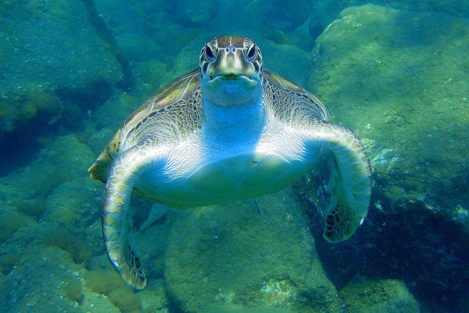 Private Yacht Excursion from Puerto Colon 3 hours - From Puerto Colón to open Atlantic: the 3-hour rhythm