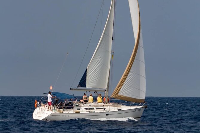 Private Yacht Excursion from Puerto Colon 3 hours - Photos, wildlife moments, and that crew energy