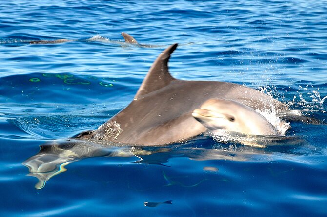 Private Yacht Excursion from Puerto Colon 3 hours - The most important value question: is $543.07 per group worth it?