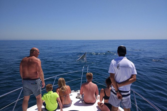 Private Yacht Hire in The Algarve - Majestic - Price and value: $1,445.74 for up to 8 people