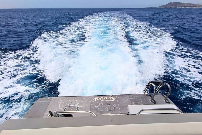 Private yacht in Papagayo Beaches with Gourmet or Premium menu - Price and value: what $1,123.78 buys for up to 8