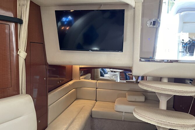 Private Yacht in Punta Cana, Unlimited Drinks and HipHop Music - Dolphin viewing area: what you can realistically expect
