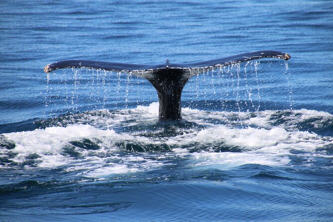 Private Yacht, Sightseeing, Snorkeling and Private beaches - Onboard comfort: restroom, privacy feel, and food you control