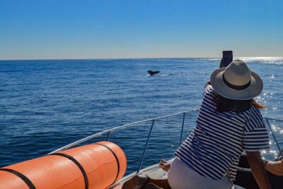 Private Yacht, Snorkeling or Sunset in Cabo San Lucas - Stop 1: Arch of Cabo San Lucas photos without the rush