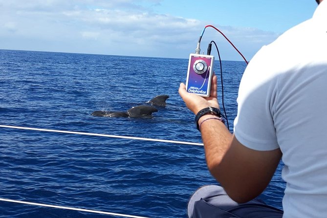 Private Yacht Tour With Whale and Dolphin Watching 33 Foot Boat - Whales and dolphins with sonar listening, not just guesswork