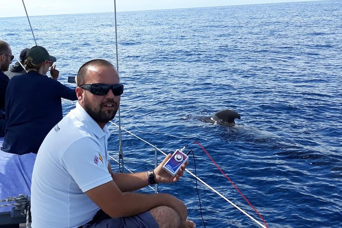 Private Yacht Tour With Whale and Dolphin Watching 33 Foot Boat - Price and value: $594.75 per group can work out surprisingly well