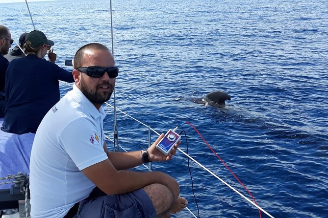 Private Yacht Tour With Whale and Dolphin Watching 42 Foot Boat - Captain Style and Real Guidance: The Difference You Can Feel