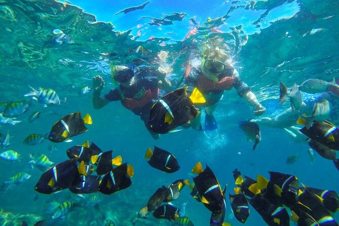 Puerto Vallarta: Private Yelapa Beach & Snorkel Tour on a Yacht - Los Arcos de Mismaloya: cave-tunnel snorkeling when conditions allow