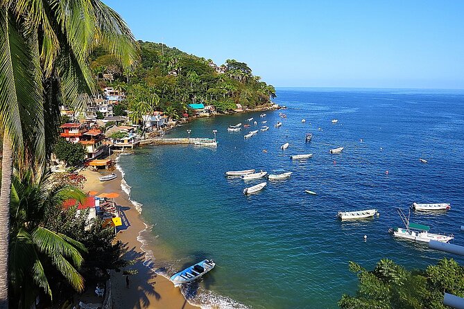 Puerto Vallarta: Private Yelapa Beach & Snorkel Tour on a Yacht - Meeting at Marina Vallarta: getting started without fuss