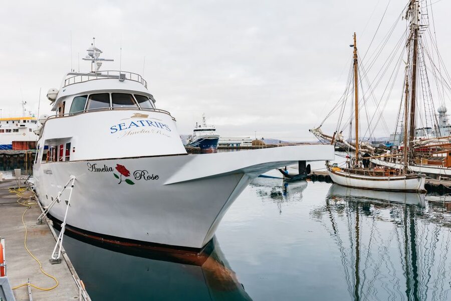Reykjavík: Whale Watching Cruise on the Amelia Rose Yacht - Amelia Rose Yacht: triple decks and comfort that lets you actually watch