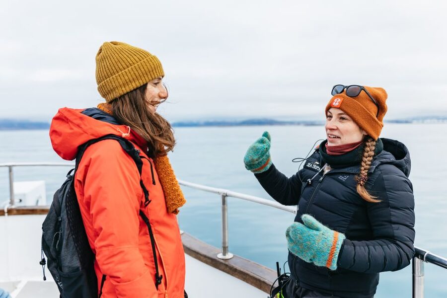 Reykjavík: Whale Watching Cruise on the Amelia Rose Yacht - Wildlife expectations: what you can spot off Reykjavík’s coast