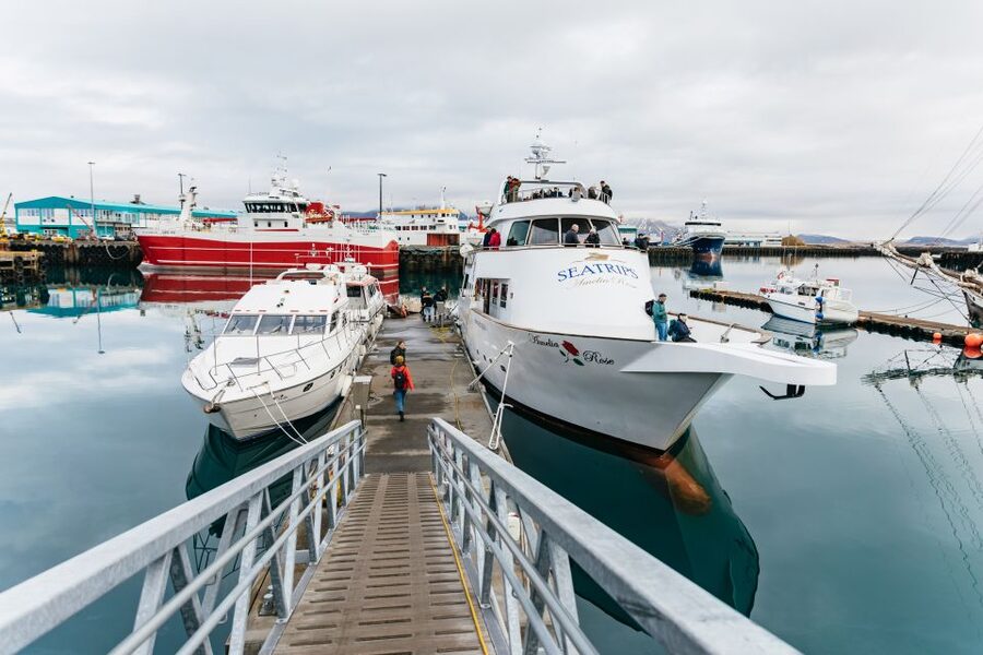 Reykjavík: Whale Watching Cruise on the Amelia Rose Yacht - Onboard setup: WiFi, warm blankets, and where you warm up