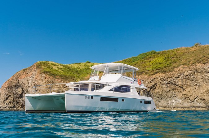 Royal Charters: The Premier Yacht Charter in Costa Rica - Marine life time: what you’ll try to spot on the way back