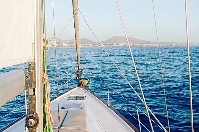 SAILING YACHT EXCURSION TOUR, Food & Drinks included! - Dolphins and Whales Near the Southern Coast: The Main Event