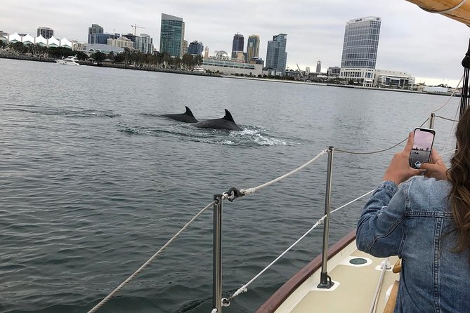 San Diego Bay Sail Aboard a Vintage Yacht Beer and Wine Included - From the Maritime Museum to the bridge: seeing the bay’s big icons