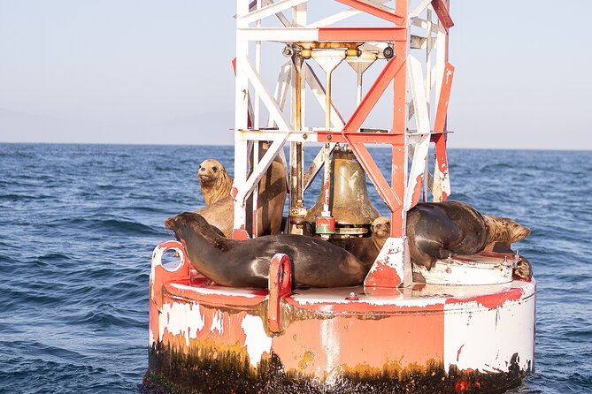 Santa Barbara Narrated Coastal Yacht Experience - Price and Value: What $45 Buys You on the Water