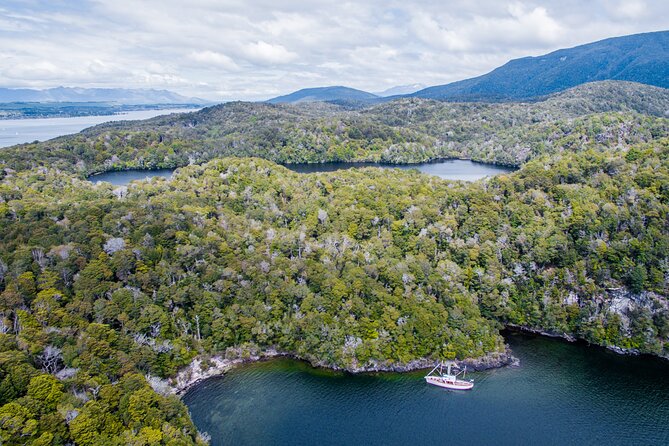 Scenic Cruise & Guided Walk on Historic Motor Yacht Lake Te Anau - Price and value: is $102.39 worth it?