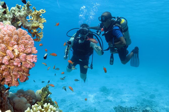 Snorkeling Day White Island & Ras Mohamed With Top VIP yacht - A VIP yacht day plan from Sharm el Sheikh
