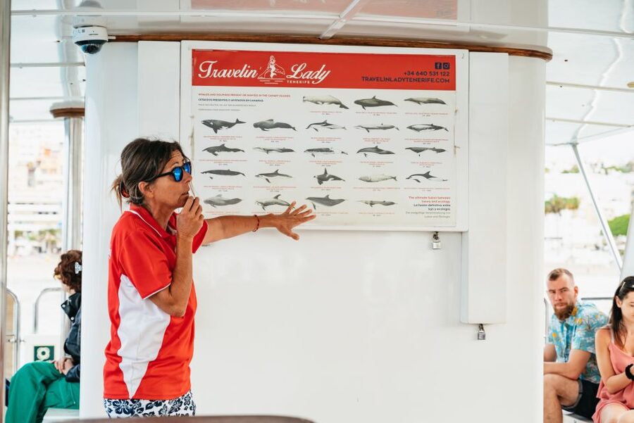 Tenerife: Eco-Yacht Whale and Dolphin Watching and Swimming - Key Reasons This Whale Tour Feels Worth It