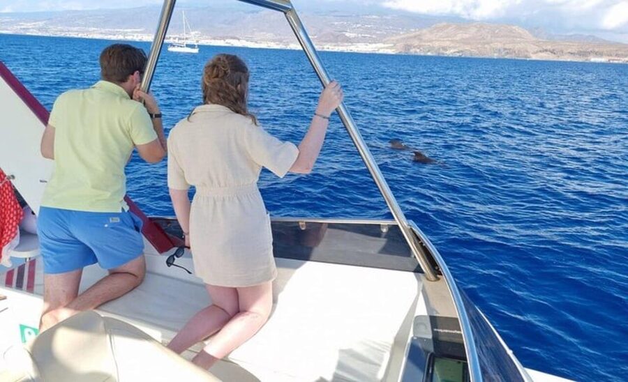 Tenerife: Eco-Yacht Whale and Dolphin Watching and Swimming - Cave of Love: A Scenic Stop That Makes the Trip Feel Longer