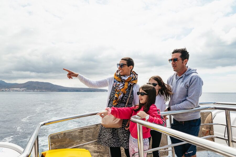 Tenerife: Eco-Yacht Whale and Dolphin Watching and Swimming - Who Gets the Most Out of This Tour (And Who Should Think Twice)