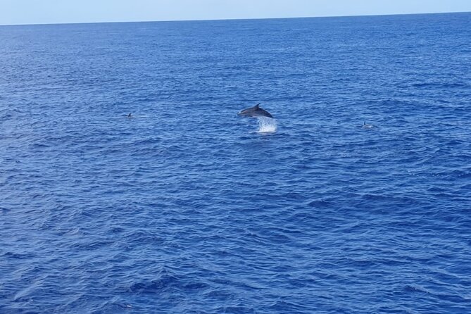 Tenerife Los Cristianos: Whale and Dolphin Eco-Yacht and Swim Stop - Passing the cave of Love: a quick photo moment with local flair