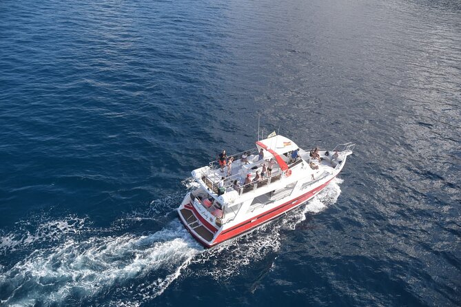 Tenerife Los Cristianos: Whale and Dolphin Eco-Yacht and Swim Stop - The swim stop at Playa de Los Cristianos: how to get the most out of it