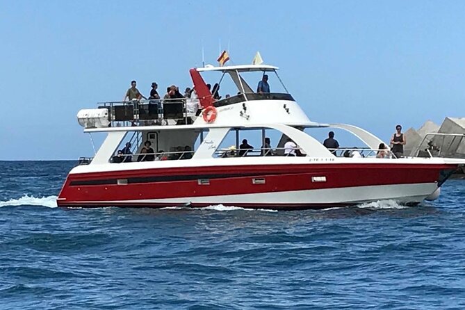 Tenerife Los Cristianos: Whale and Dolphin Eco-Yacht and Swim Stop - Value and what it costs you in practice