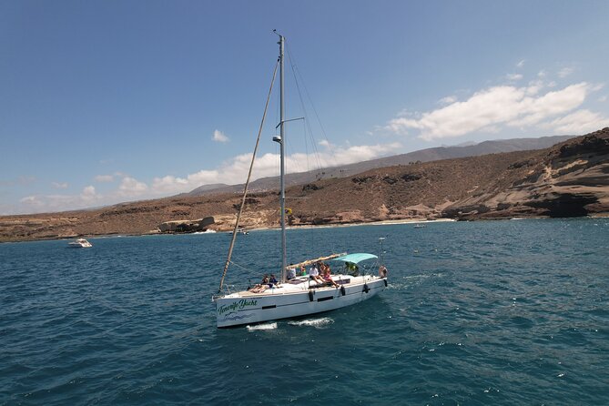 Tenerife Whale Watching and Snorkeling Yacht Trip - From Av. de Colón to Puerto Colón: where your Tenerife water day starts