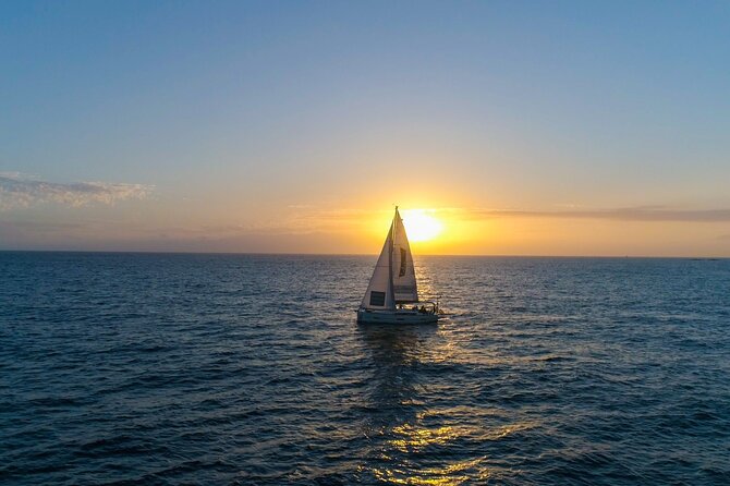 Tenerife Whale Watching and Snorkeling Yacht Trip - Playa del Puertito snorkeling stop: turtles, fish, and short-but-fun water time