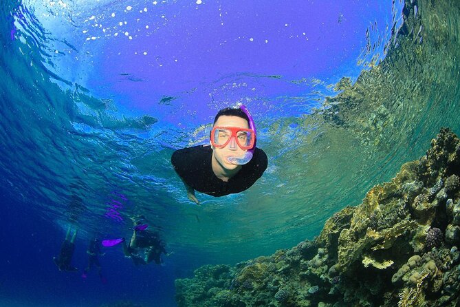 Tiran Island Snorkeling Experience by Yacht Sharm El Sheikh - The crew and instruction: small details that change everything