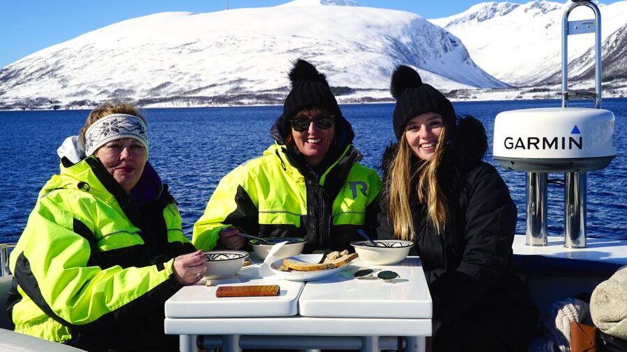 Tromsø: Fjord Cruise by Luxury Yacht - Tromsø fjords on the Arctic Queen: what the “luxury yacht” vibe actually means