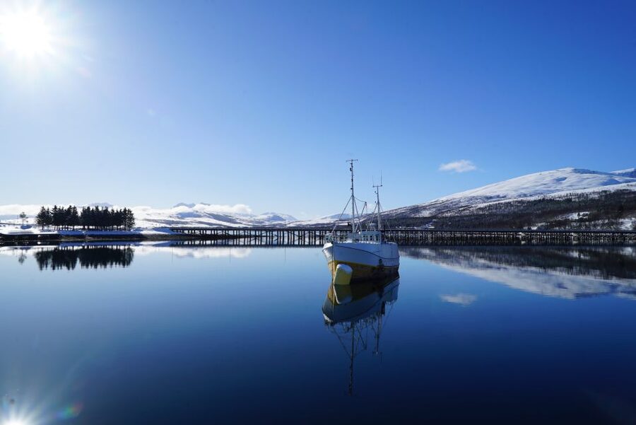 Tromsø: Fjord Cruise by Luxury Yacht - Food on board: coffee, snacks, and Norway’s fish soup
