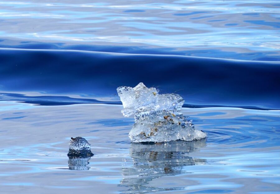 Tromsø: Fjord Cruise by Luxury Yacht - The guide and group size: small group means more attention