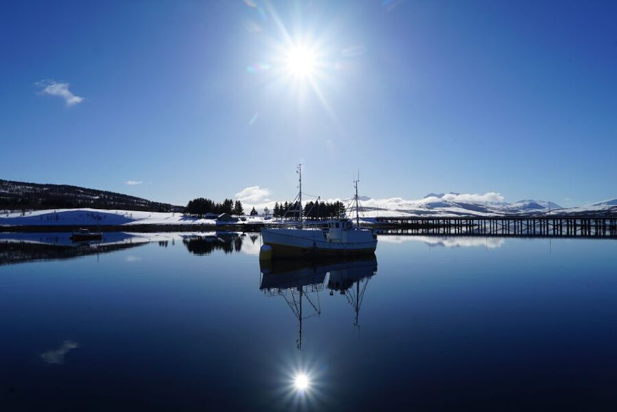 Tromsø: Fjord Cruise by Luxury Yacht - Value and price: is $236 per person worth it?