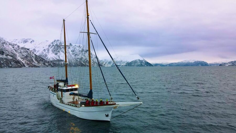 Tromsø: Luxury Polar Fjord Cruise w/ Hot Tub & Polar Plunge - Luxury On the Water: Stella Oceana in Tromsø’s Arctic Fjords