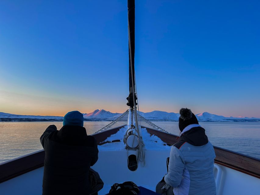 Tromsø: Luxury Polar Fjord Cruise w/ Hot Tub & Polar Plunge - Hot Tub First, Polar Plunge If You Want the Thrill