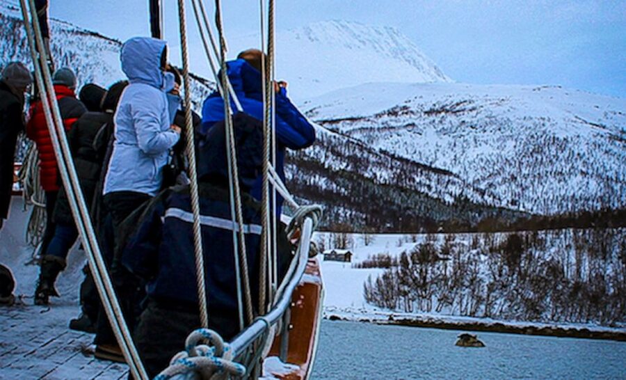 Tromsø: Luxury Polar Fjord Cruise w/ Hot Tub & Polar Plunge - Comfortable, Warm, and Small: The On-Board Experience That Counts