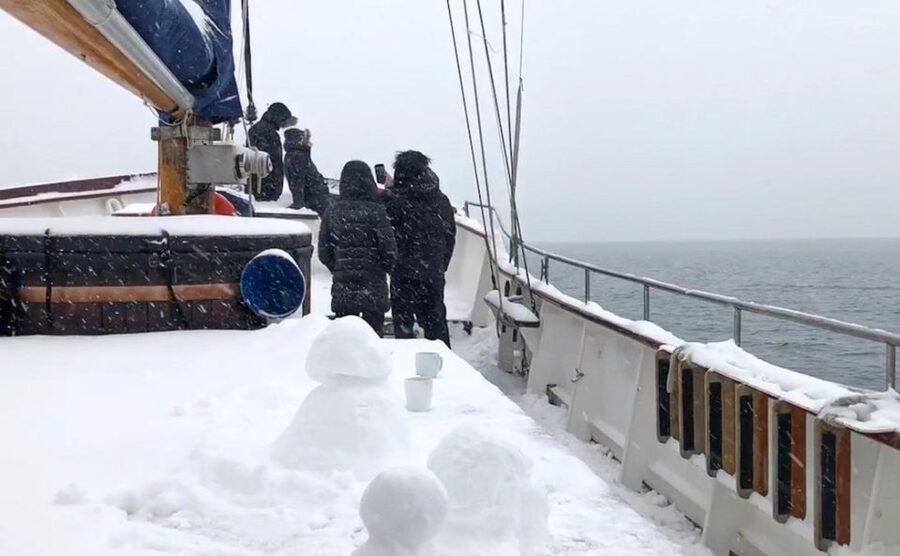 Tromsø: Luxury Polar Fjord Cruise w/ Hot Tub & Polar Plunge - Meeting Point in Tromsø: How to Find the Stella Oceana Fast