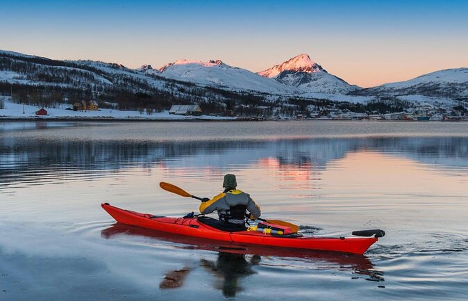 Tromso Luxury Sailing Yacht Polar Fjord Cruise with Lunch - Key highlights that make this cruise worth planning for