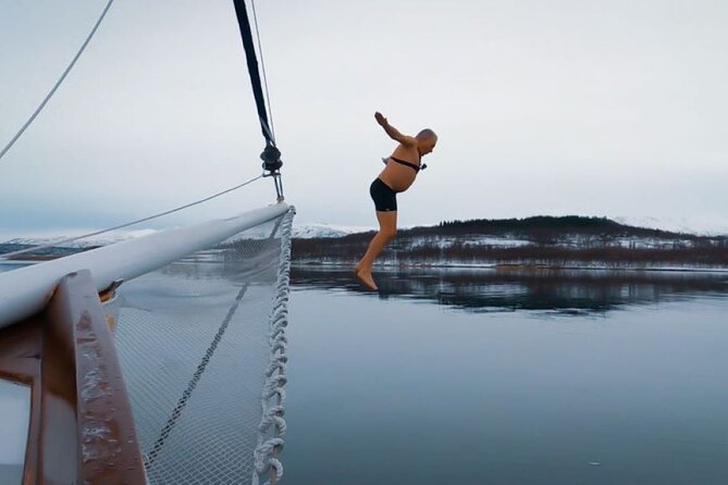 Tromso Luxury Sailing Yacht Polar Fjord Cruise with Lunch - Lunch on the fjord: reindeer soup that actually tastes like effort
